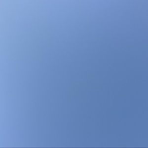 Meet your Posher, Jackson